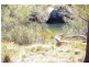 Lots 556, 567 & 570 Rifle Range Road, Uralla NSW 2358