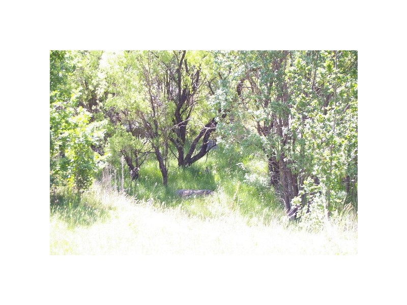 77 Barley Fields Road, Uralla NSW 2358