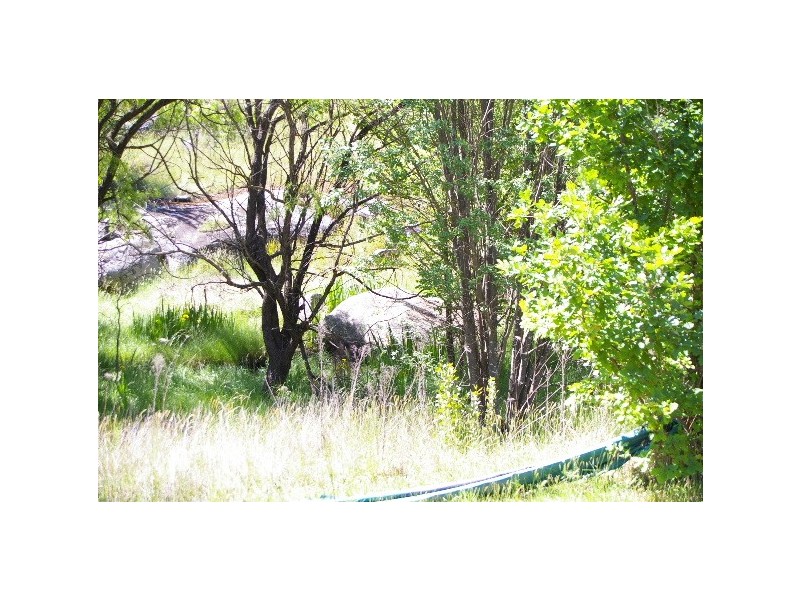 77 Barley Fields Road, Uralla NSW 2358
