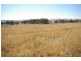 Lot 21, 126 Aberbaldie Road, Walcha NSW 2354