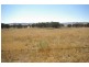 Lot 21, 126 Aberbaldie Road, Walcha NSW 2354