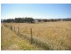 Lot 21, 126 Aberbaldie Road, Walcha NSW 2354