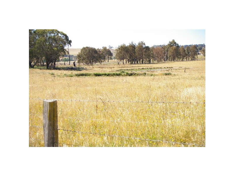 Lot 21, 126 Aberbaldie Road, Walcha NSW 2354