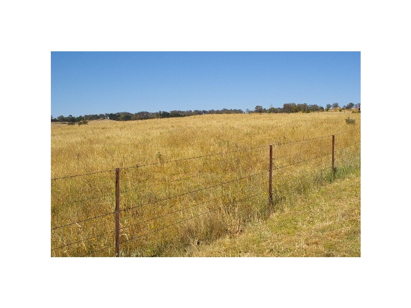 Lot 21, 126 Aberbaldie Road, Walcha NSW 2354