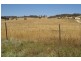 Lot 21, 126 Aberbaldie Road, Walcha NSW 2354