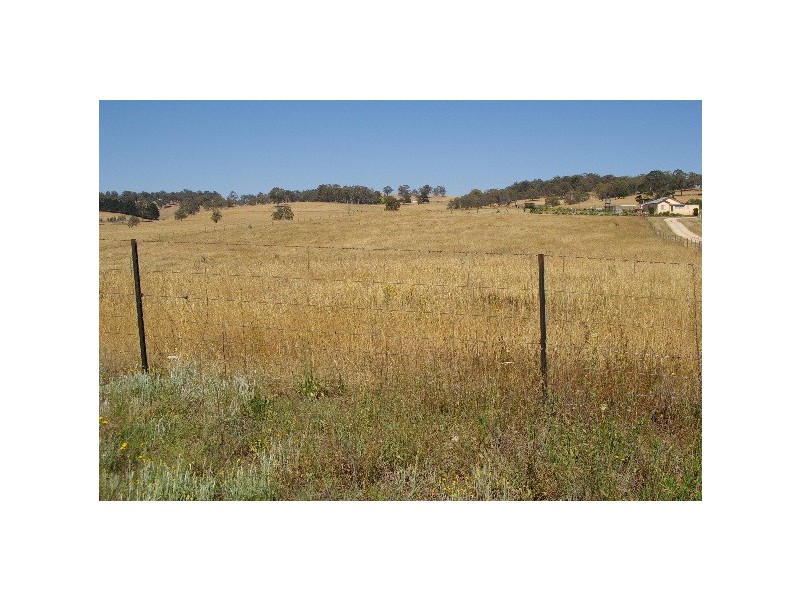 Lot 21, 126 Aberbaldie Road, Walcha NSW 2354