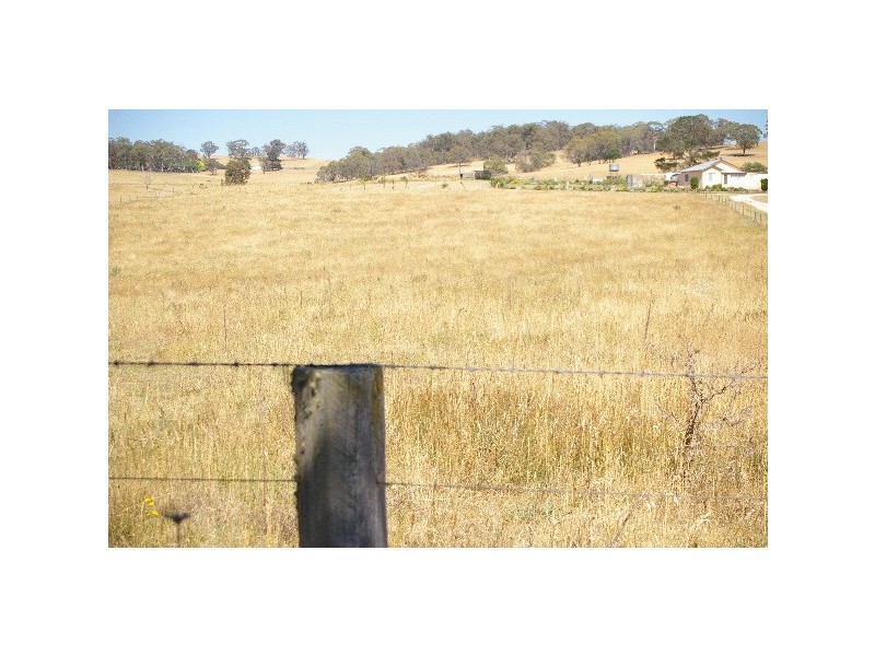 Lot 21, 126 Aberbaldie Road, Walcha NSW 2354