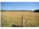 Lot 22, 126 Aberbaldie Road, Walcha NSW 2354