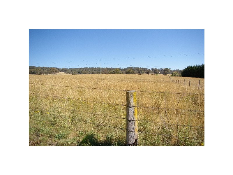 Lot 22, 126 Aberbaldie Road, Walcha NSW 2354