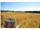 Lot 22, 126 Aberbaldie Road, Walcha NSW 2354