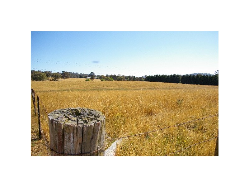Lot 22, 126 Aberbaldie Road, Walcha NSW 2354
