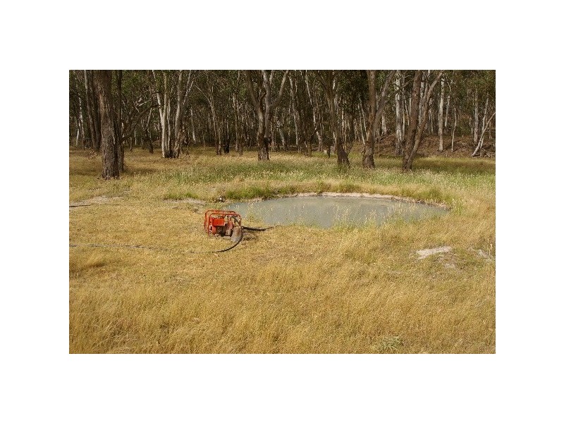 90 Den Mountain Road, Watsons Creek NSW 2355