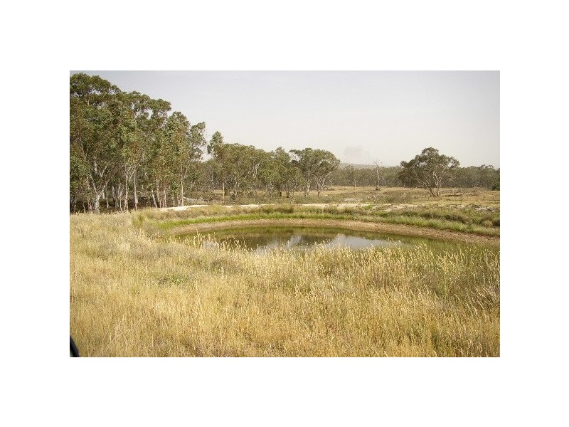 90 Den Mountain Road, Watsons Creek NSW 2355