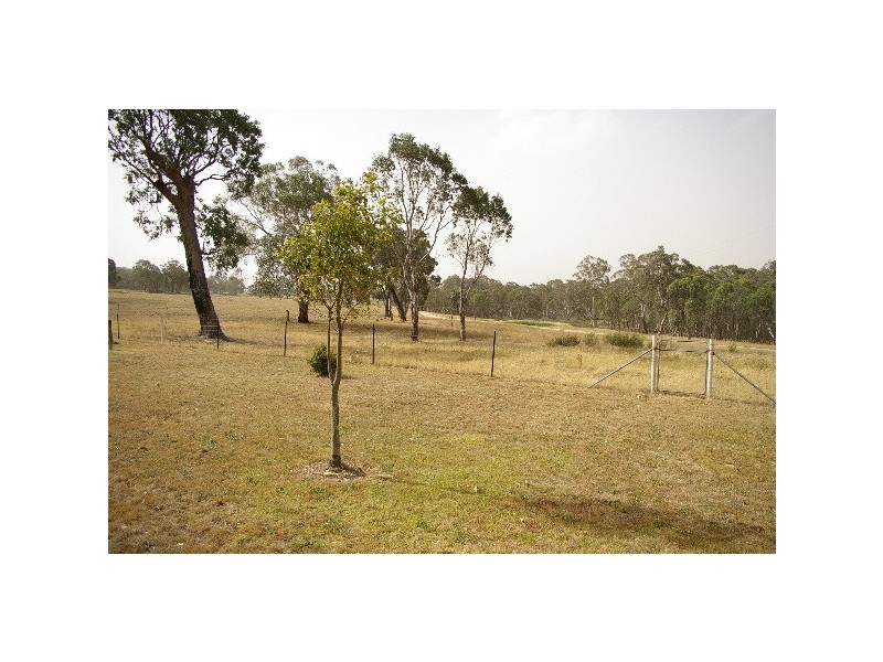 90 Den Mountain Road, Watsons Creek NSW 2355