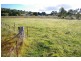 Lot 1 Angle Street, Walcha NSW 2354
