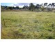 Lot 1 Angle Street, Walcha NSW 2354