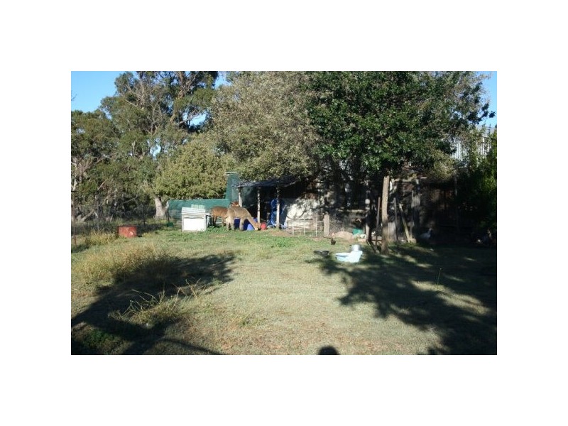 Lot 1 Wilson Street, Woolbrook NSW 2354