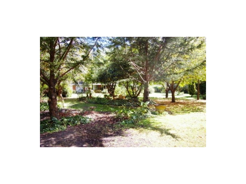 113 Goodes Road, Uralla NSW 2358