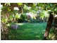 ‘Bulimba Downs’ Brooklyn Road, Walcha NSW 2354