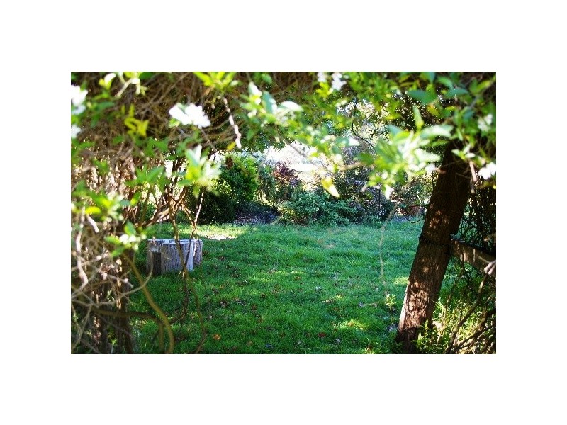 ‘Bulimba Downs’ Brooklyn Road, Walcha NSW 2354