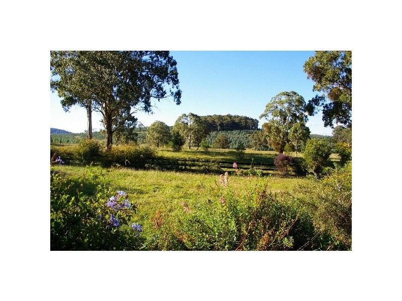 ‘Bulimba Downs’ Brooklyn Road, Walcha NSW 2354