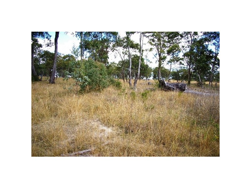 67 Goodes Road, Arding NSW 2358