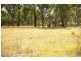 67 Goodes Road, Arding NSW 2358