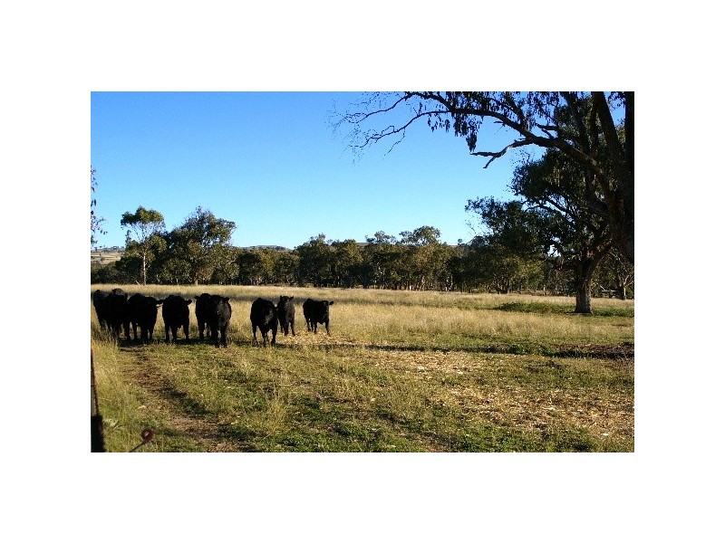 ‘Train View’ Back Woolbrook Road, Woolbrook NSW 2354