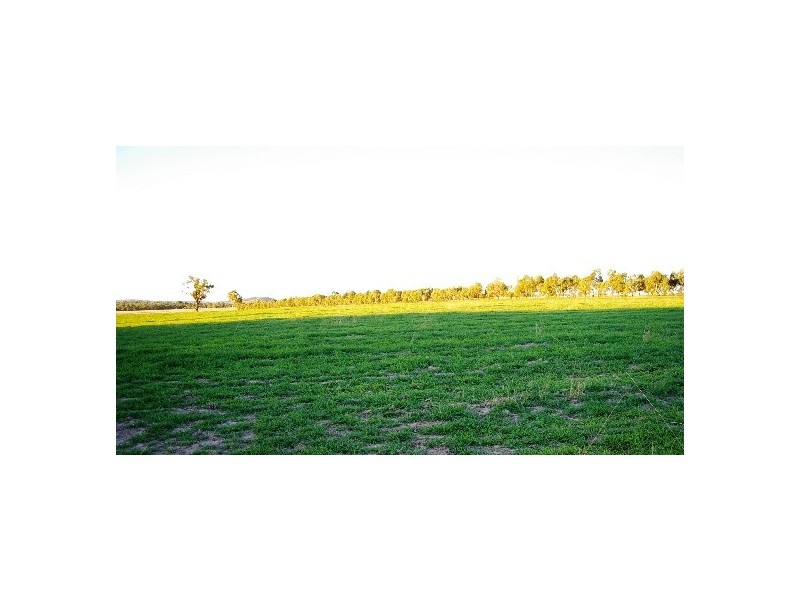 ‘Train View’ Back Woolbrook Road, Woolbrook NSW 2354