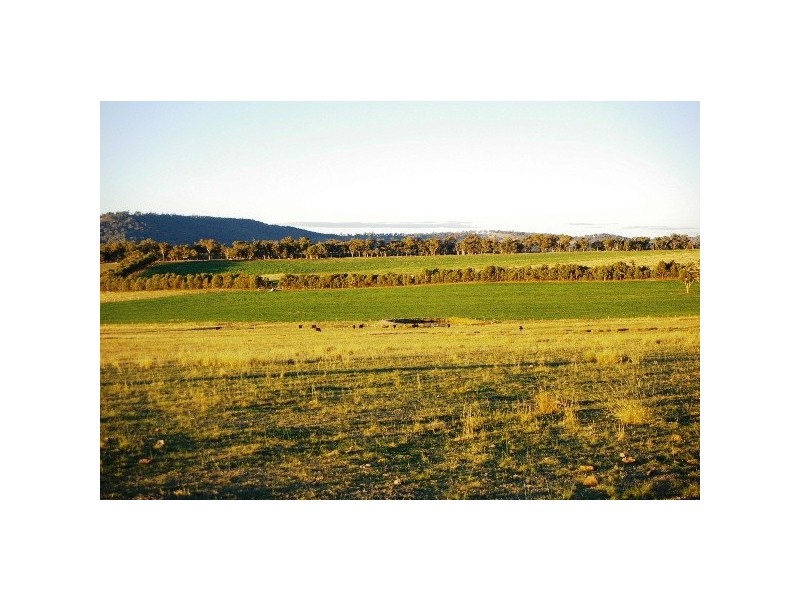 ‘Train View’ Back Woolbrook Road, Woolbrook NSW 2354