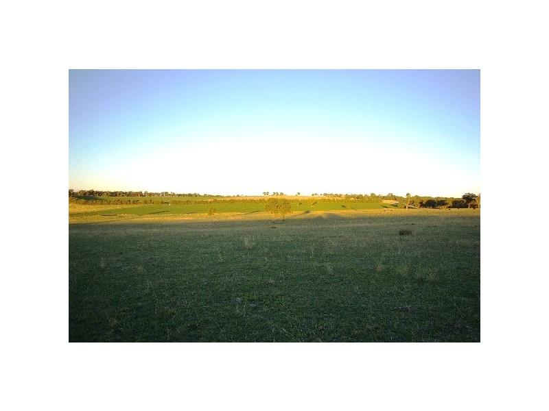 ‘Train View’ Back Woolbrook Road, Woolbrook NSW 2354