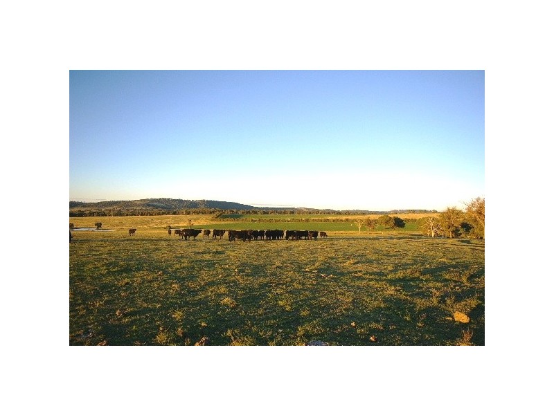 ‘Train View’ Back Woolbrook Road, Woolbrook NSW 2354