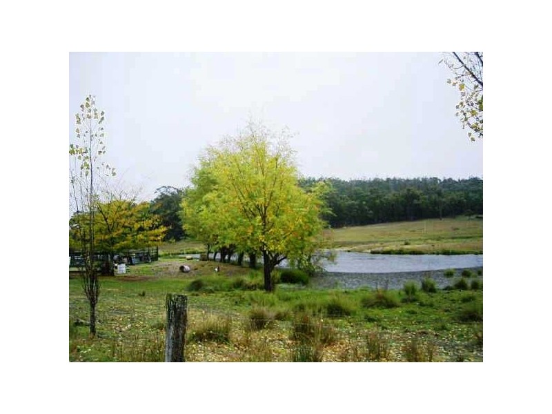 391 Stone Hut Road, Retreat NSW 2355