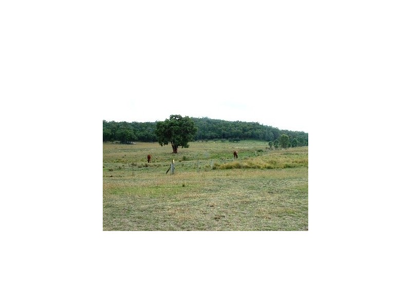 391 Stone Hut Road, Retreat NSW 2355