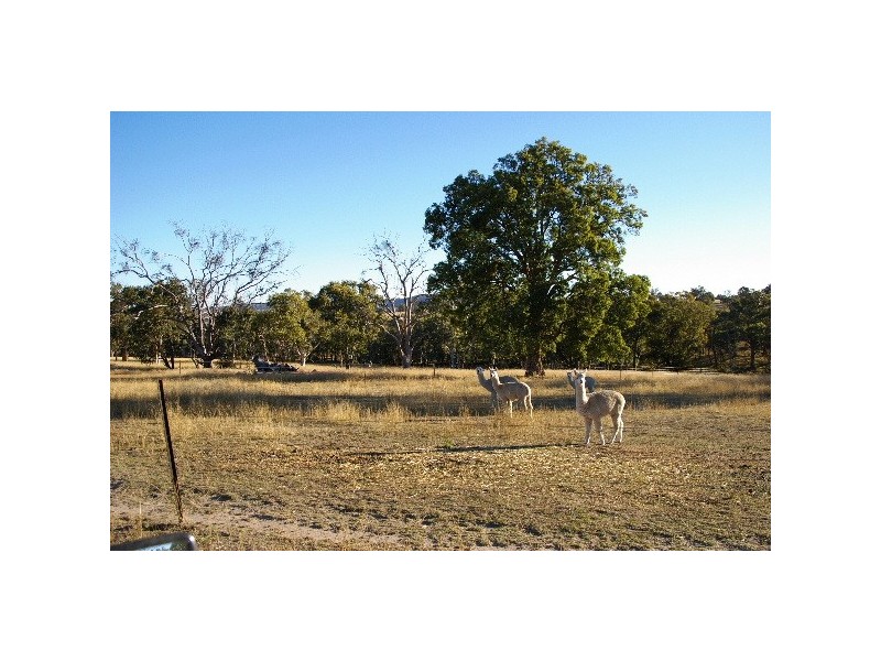 6400 New England Highway, Kentucky NSW 2354