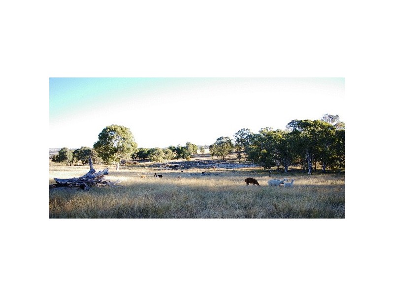 6400 New England Highway, Kentucky NSW 2354