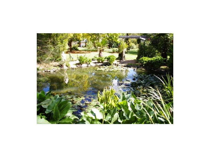 113 Goodes Road, Arding NSW 2358