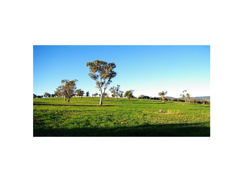 Lot 1 Wilson Street, Woolbrook NSW 2354