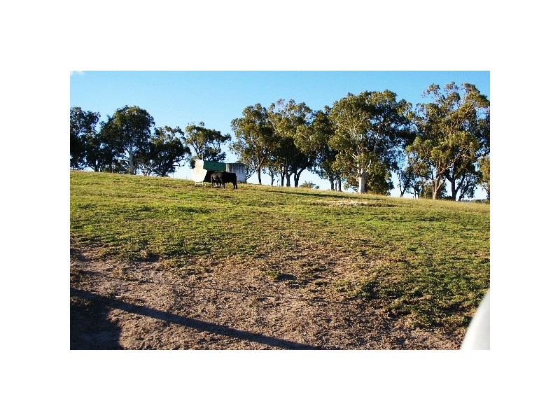 Lot 1 Wilson Street, Woolbrook NSW 2354