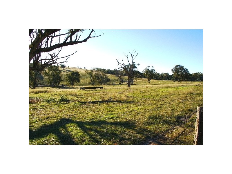 Lot 1 Wilson Street, Woolbrook NSW 2354