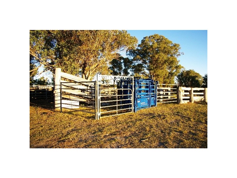 TL ‘Train View’ Back Woolbrook Road, Woolbrook NSW 2354