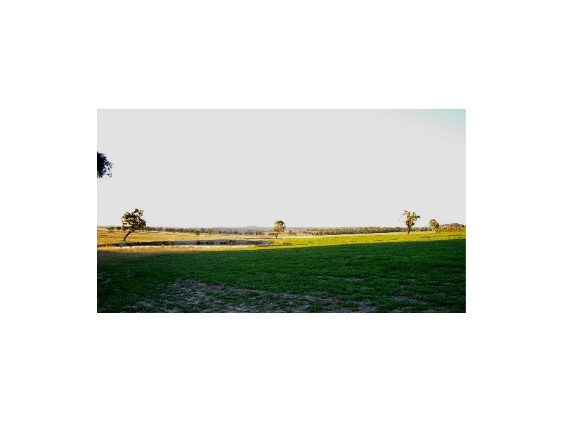 TL ‘Train View’ Back Woolbrook Road, Woolbrook NSW 2354