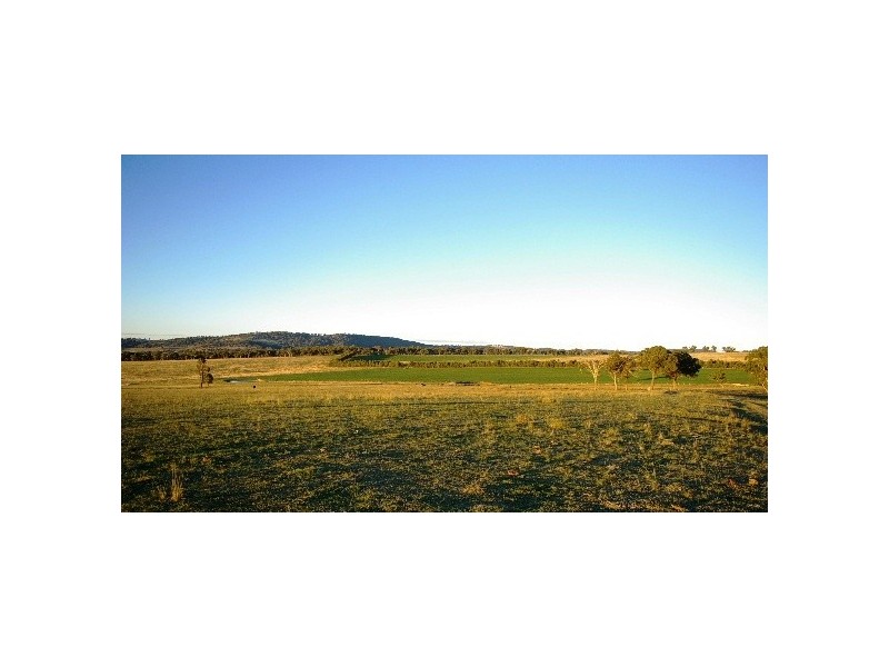 TL ‘Train View’ Back Woolbrook Road, Woolbrook NSW 2354