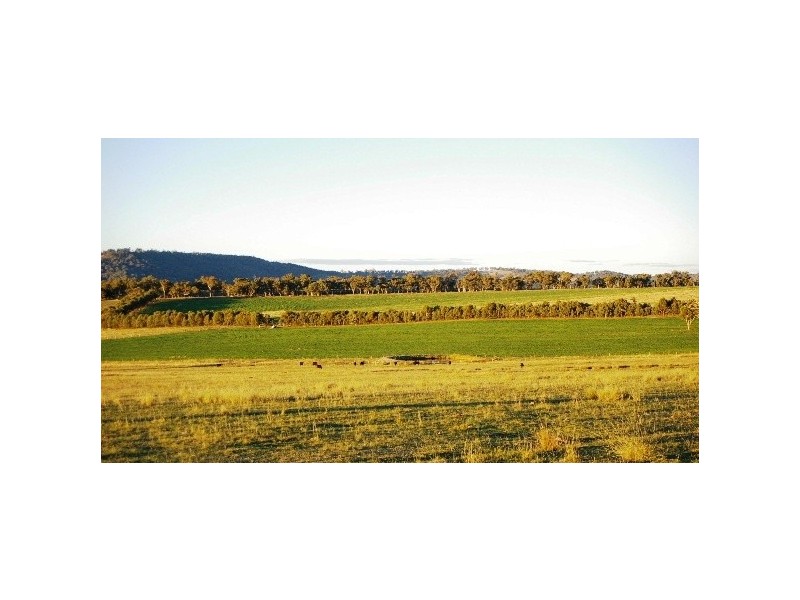 TL ‘Train View’ Back Woolbrook Road, Woolbrook NSW 2354