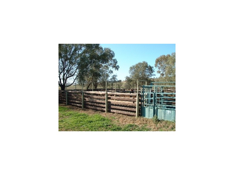 ‘Long View’ Manilla Road, Attunga NSW 2345
