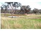 ‘Long View’ Manilla Road, Attunga NSW 2345