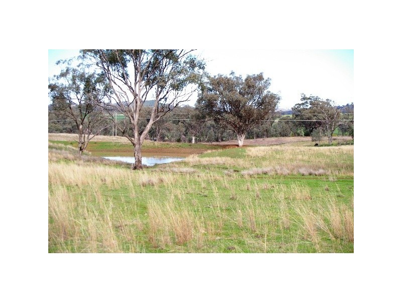 ‘Long View’ Manilla Road, Attunga NSW 2345