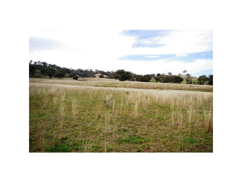 ‘Long View’ Manilla Road, Attunga NSW 2345