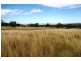 ‘Long View’ Manilla Road, Attunga NSW 2345