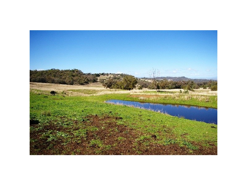 ‘Long View’ Manilla Road, Attunga NSW 2345